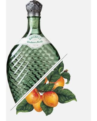 Rochelt Wachau Apricot Vintage 2016 350ml